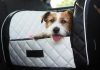Dogstyler y como viajar de un modo seguro con tu perro