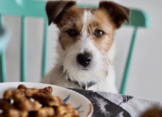 Caprichitos crujientes de bacon y manzana